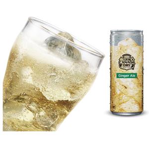 タコベル ジンジャーエール Ginger Ale