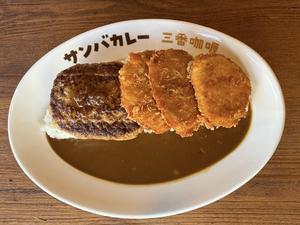 ヘレとんかつコンボカレー Pork fillet cutlet ＆ Hamburg steak curry