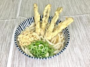 ごぼう天うどん