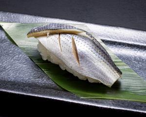 板前寿司 江戸前小肌酢〆 Gizzard Shad marinated in vinegar
