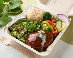 特製デミグラスソース牛100%ハンバーグ Demi Glace Hamburg