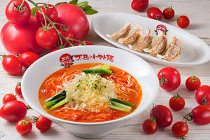 太陽のトマト麺 《焼き餃子セット》選べる太陽のトマト麺