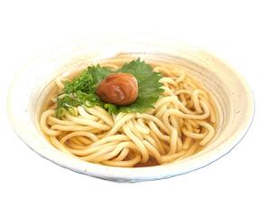 うめこぶうどん