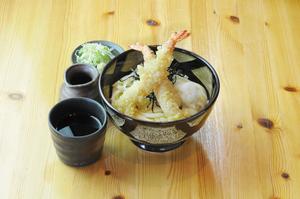 えび天ざるうどん