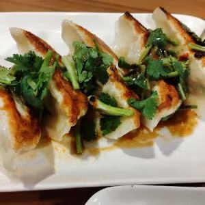 パクチー焼き餃子