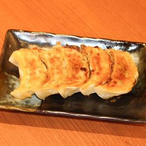 パクチー焼き餃子