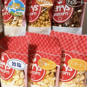 SSサイズ お試し人気6個セット 手のひらサイズでプチギフトにも大人気