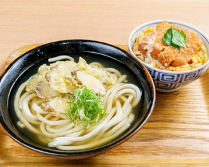 ゴボウ天うどん+ミニカツ丼セット