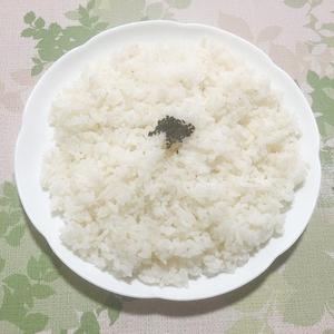 バスマティライス Basmati Rice