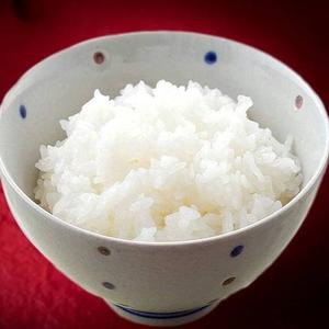 白ご飯