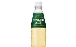 ナポリの窯 ジンジャーエール(330ml)