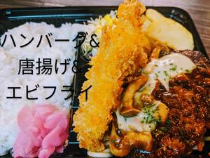 ハンバーグスペシャル弁当