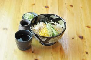 冷やしたぬきうどん