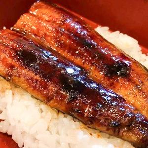 鰻重(ハーフ)