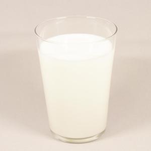 プレーンラッシー Plane Lassi