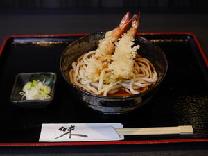 海老天うどん