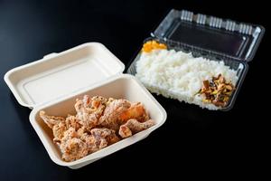 タレザンギ弁当