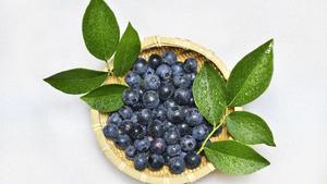 ブルーベリー(Blue Berries)