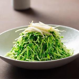 トウミョウの旨塩サラダ(拌豆苗)