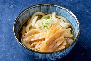 さぬき ごぼう天かけうどん