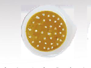 バターチキンカレー
