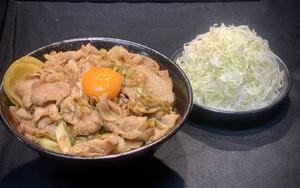 すた丼+サラダセット