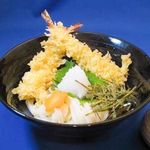 海老天ぶっかけうどん