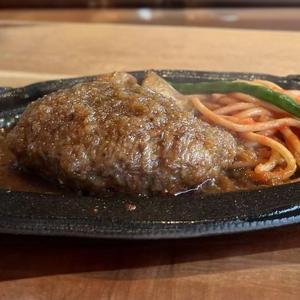 ☆テリヤキハンバーグ弁当(ごはんつき)