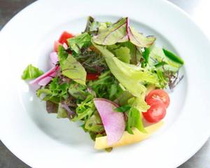 グリーンサラダ