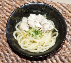 究極の塩だし 温鳥うどん