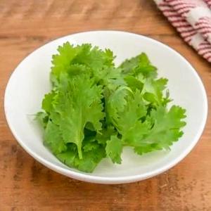 追いパクチー Extra Cilantro