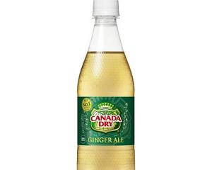 日本初上陸!!ニャムニャムチキン カナダドライ ジンジャエール