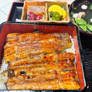 上うな重