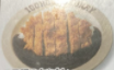 100時間カレー 三元豚のカツカレー