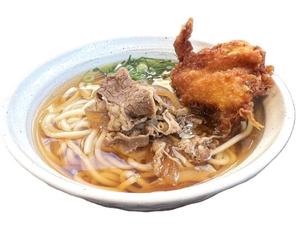 から揚げ肉盛りうどん