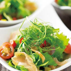 とり鉄 とり鉄サラダ TORITETSU Japanese salad with Dry-cured Chicken Ham (portion size)