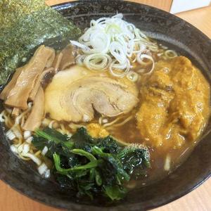 醤油カレーラーメン(Syouyu Curry Ramen)