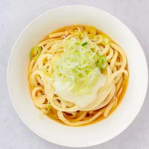 ネギおろしうどん