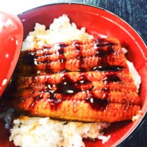 こだわりのうな重