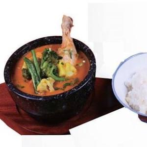 オーガニックスープカレー/Organic Soup Curry