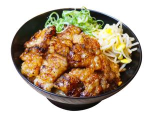 韓丼 上てっちゃん丼(並)