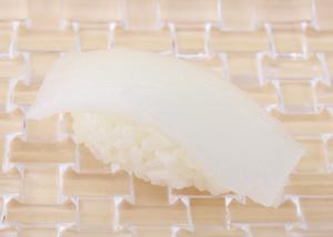 イカ(Squid)