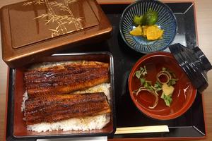 うな重 梅  山椒、追いたれ付き