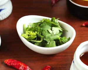 雲林坊 ⑳パクチー Cilantro