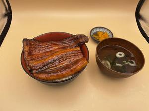 うな丼 ダブル