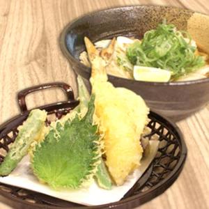 天ぷらうどん Tempura Udon
