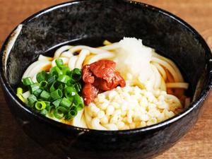 冷やし梅おろしうどん Chilled Udon with Ume ＆ Grated Radish