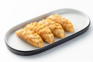 揚げ餃子 