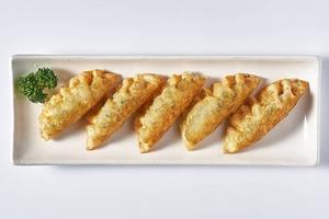カマロチキン 揚げ餃子/Fried Dumplings