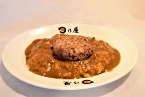 ハンバーグカレー Hamburg Steak Curry